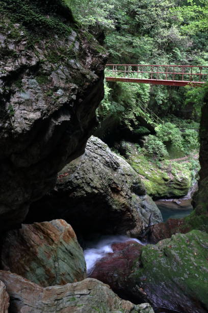 istock Nakatsu Valley,explore,Early summer (Niyodogawa Town, Kochi Prefecture) 1337341735