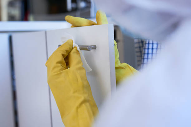 closeup shot of an unrecognisable cleaner wiping a cupboard in a kitchen - bio hazard imagens e fotografias de stock