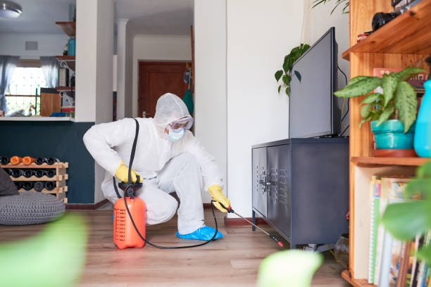 Shot of a man in a hazmat suit using a chemical sprayer to sanitise a house Making your home a healthy place to live again biohazard cleanup stock pictures, royalty-free photos & images