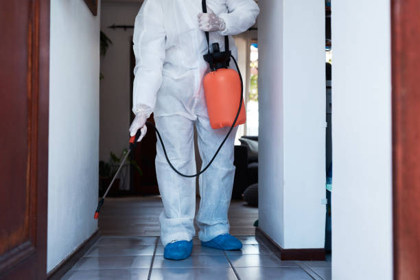 Closeup shot of an unrecognisable cleaner in a hazmat suit using a chemical sprayer to sanitise a house Leaving no chance for germs to spread biohazard cleanup stock pictures, royalty-free photos & images