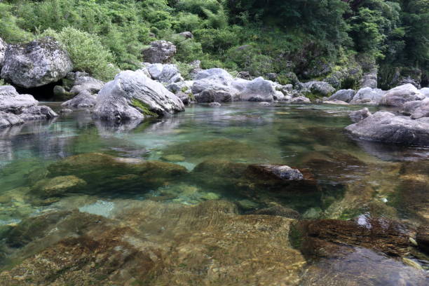 istock Doi River,A tributary of the Niyodo River,Early summer (Niyodogawa Town, Kochi Prefecture) 1337341995