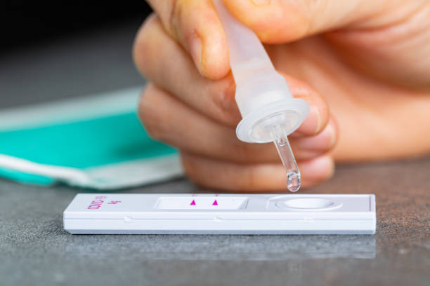 istock Drop nasal sample into rapid antigen test stick.PCR rantigen test for check coronavirus 1337349210