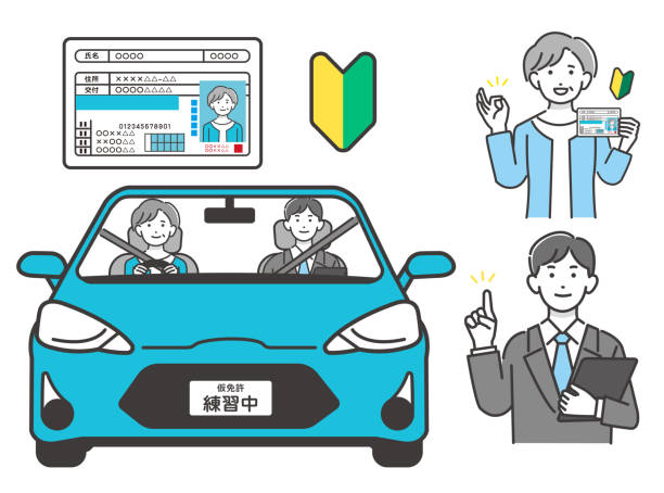 運転免許を取得する先輩女性のベクターイラスト素材 初心者 運転学校 車 免許更新 - 自動車運転教習指導員のベクターアート素材や画像を多数ご用意 - 自動車運転教習指導員, 運転する, 自動車免許証 - iStock