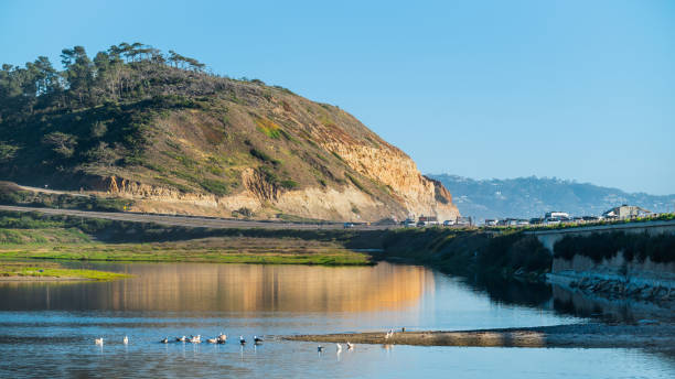 природа государственного заповедника торри пайнс. - torrey pines state reserve стоковые фото и изображения