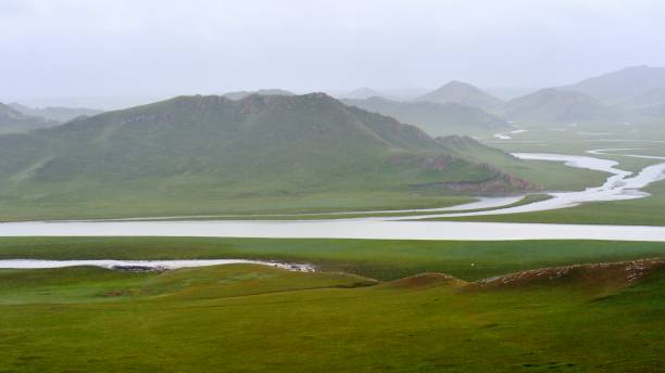 istock Rivers in the prairiein Bayanbulak 1337352438