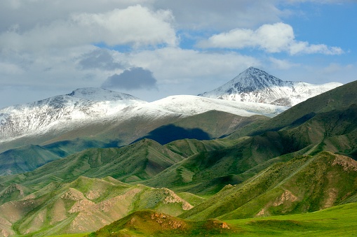Xinjiang, Bayingolin Mongolian Autonomous Prefecture,  Hejing County,\nBayanbulak,Bayanbulak Grassland.National 5A scenic spot.\nBayanbulak grassland is one of the most important animal husbandry bases in Xinjiang.There are vast forests, Majestic snow mountains and the  continuous \