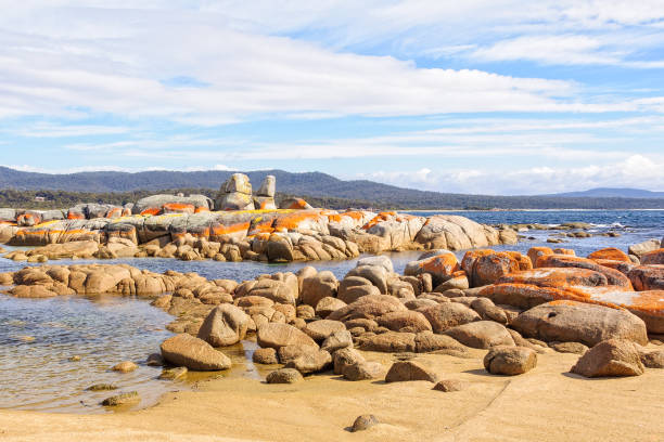 istock Granite boulders in Skeleton Bay - Binalong Bay 1337354205