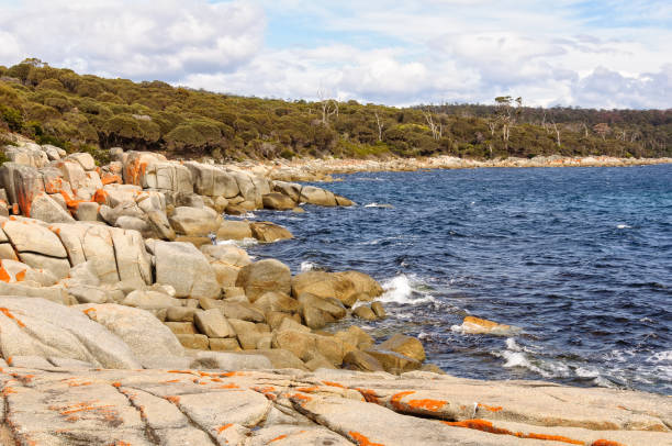 istock Granite boulders in Skeleton Bay - Binalong Bay 1337354227
