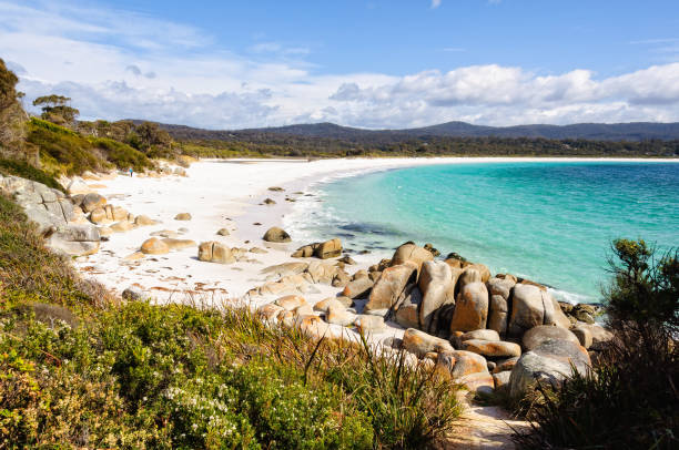 istock Cosy Corner - Binalong Bay 1337354248