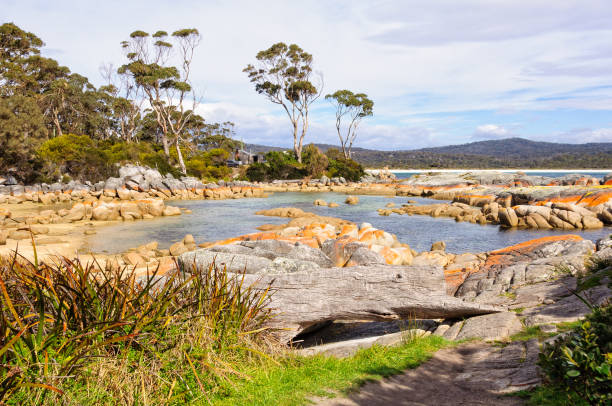 istock Little pond in Skeleton Bay - Binalong Bay 1337354259