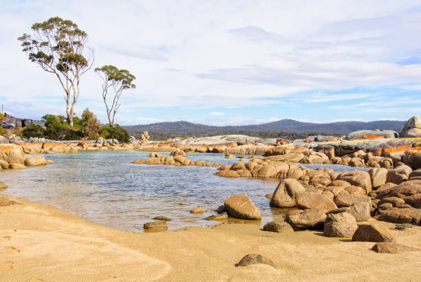 istock Little pond in Skeleton Bay - Binalong Bay 1337354276
