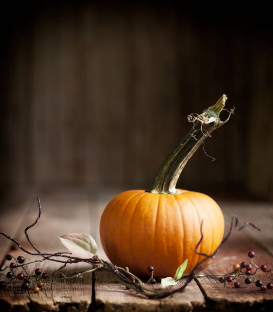 istock Autumn pumpkin against an old wood background 1337355932