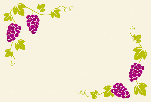 illustrations, cliparts, dessins animés et icônes de fond vectoriel avec des raisins sur la vigne pour les bannières, les cartes, les dépliants, les fonds d’écran des médias sociaux, etc. - cute decoration invitation vine