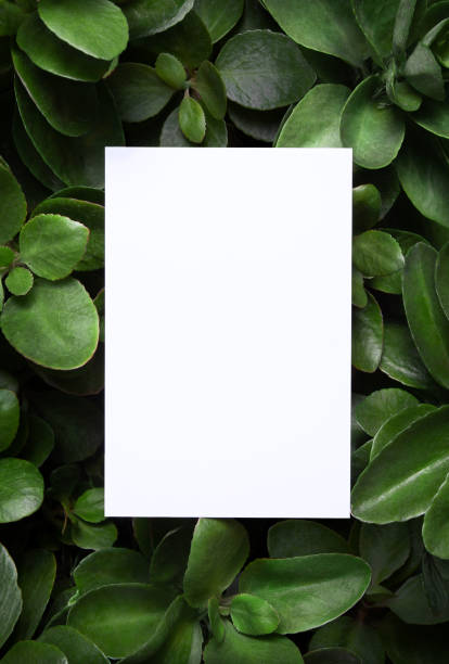 istock White invitation card mockup on leaves background. 1337358699