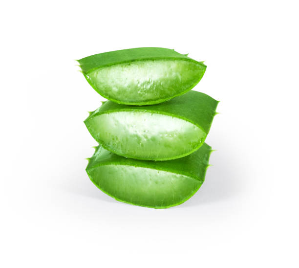 istock Aloe Vera sliced isolated on a white background 1337360664