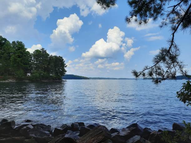 istock Lake Lanier Shoreside In Georgia 1337361950