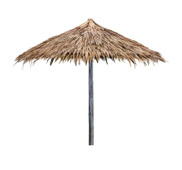 beach umbrella parasol made of coconut leaf isolated on white background - parasol imagens e fotografias de stock