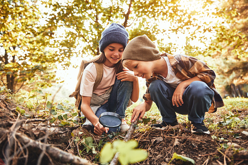 Two little kids in warm hats with backpacks examining tree bark