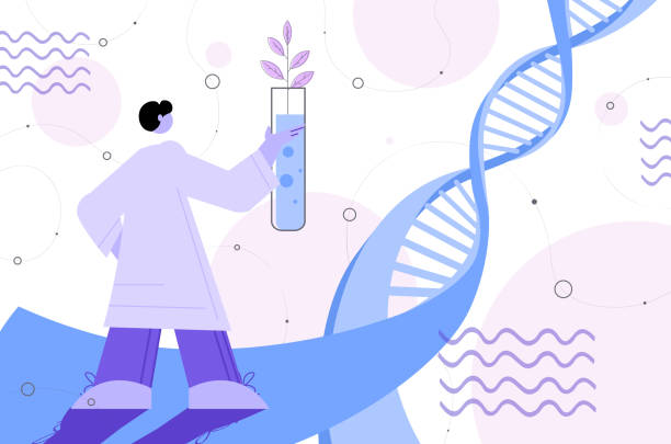 scientist analyzing DNA of plants in test tube researcher making experiment in lab genetically modified plants scientist analyzing DNA of plants in test tube researcher making experiment in lab genetically modified plants concept horizontal full length vector illustration dna illustrations stock illustrations