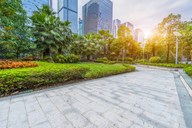 istock modern buildings and empty pavement in china 1337367401