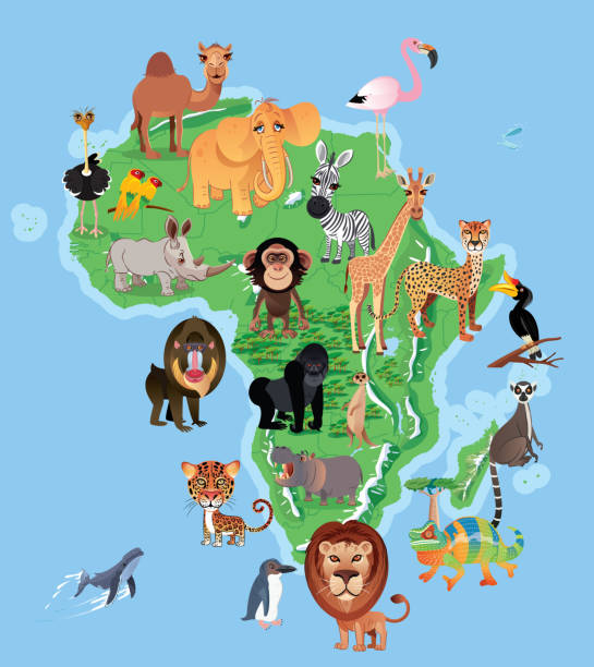 afrika und tiere - ostrich ape animal monkey stock-grafiken, -clipart, -cartoons und -symbole