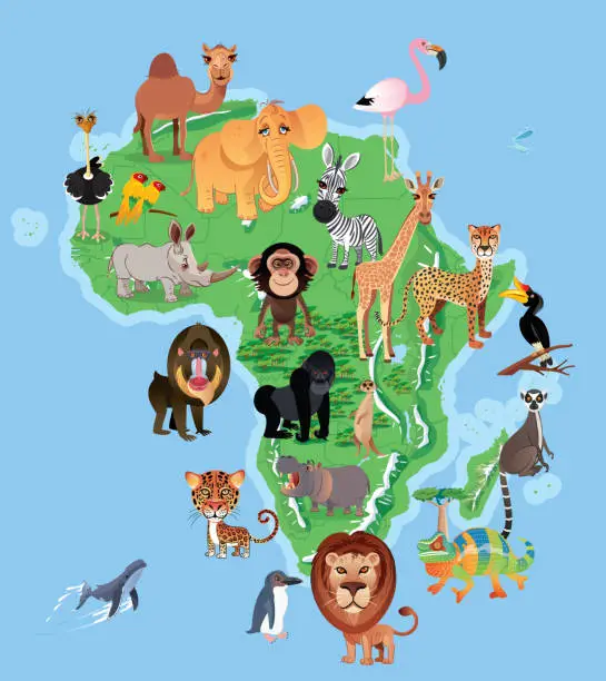 Vector illustration of Africa and animals