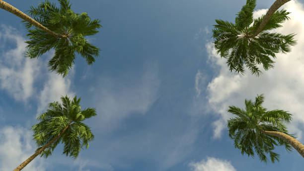 istock Palm trees. Travel and tourism concept. Low angle shot. 3d rendering 1337374347