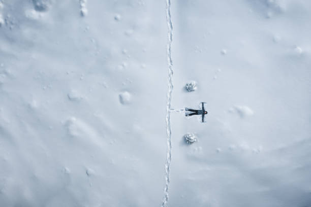 liberté hivernale - winter cold footpath footprint photos et images de collection