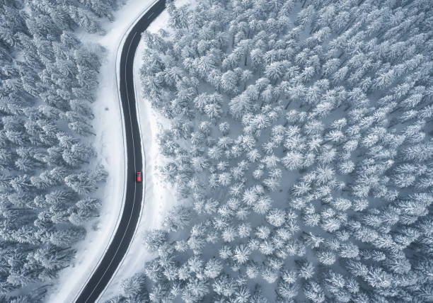 guidare nella foresta innevata - wintry landscape immagine foto e immagini stock