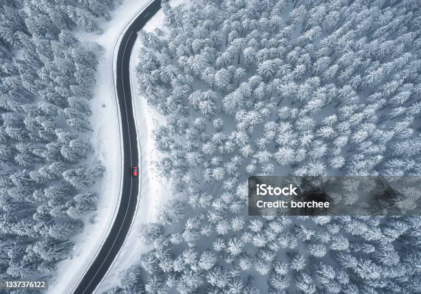 Driving In Snowcapped Forest Stock Photo - Download Image Now - Winter, Snow, Car