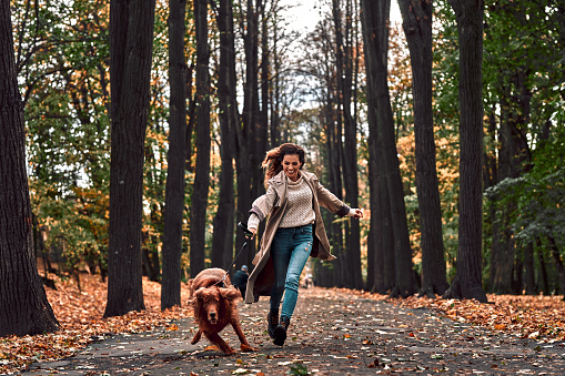 Loco trote con un perro en el parque de otoño. Una joven y hermosa corre con un perro de raza pura que tira de una correa y se ríe. photo