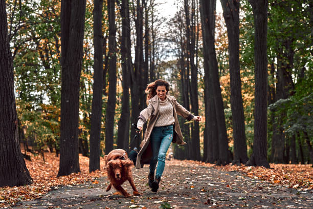 jogging pazzo con un cane nel parco autunnale. una giovane bella donna corre con un cane di razza che tira al guinzaglio e ride. - guinzaglio foto e immagini stock