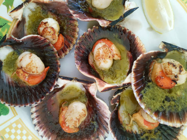 istock Aerial view of scallops cooked on a plate 1337376309