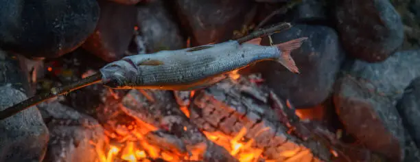 Photo of Cooking fish over the fire.