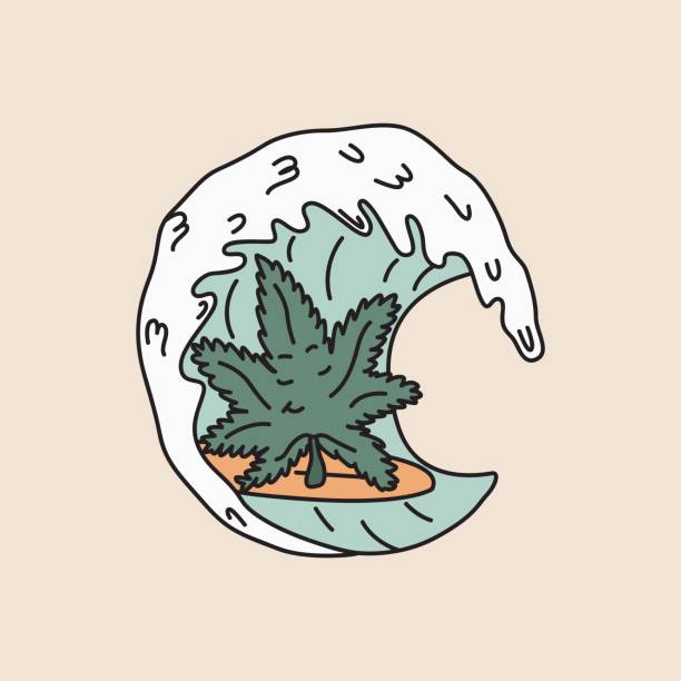 A leaf of hemp is surfing in a wave in the shape of a circle. Cannabis-themed vector graphics for T-shirt prints, posters and other purposes. A leaf of hemp is surfing in a wave in the shape of a circle. Cannabis-themed vector graphics for T-shirt prints, posters and other purposes. marijuana tattoo stock illustrations