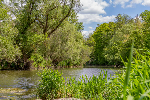 istock Jagst river in Hohenlohe 1337381385