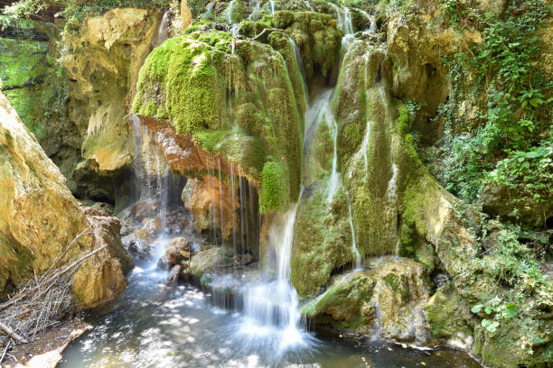 водопад бигар после обрушения, румыния. дикие зеленые пейзажи с обильной водой на ущельях реки минис. - banat стоковые фото и изображения