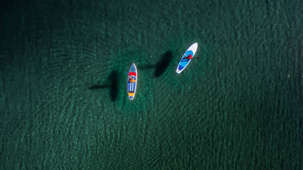 Two peoples are walking on sup boards aerial view Two sporty peoples are walking on sup boards with paddles at turquoise water. Aerial drone view paddleboard photos stock pictures, royalty-free photos & images