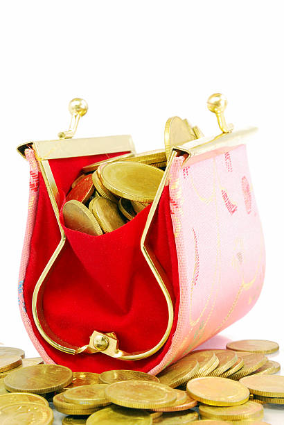 istock Purse and gold coins 133738241