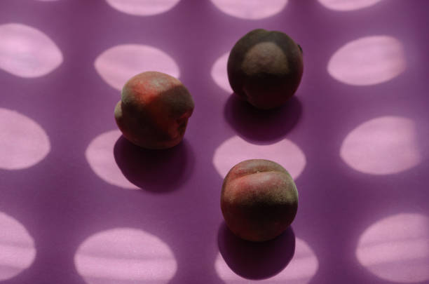 istock Geometric composition with peaches and round shadows. Three ripe 1337382862