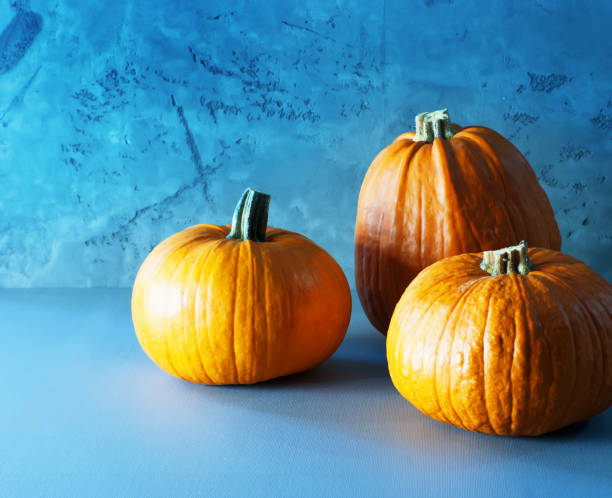 istock Orange pumpkin on a grey background 1337385460