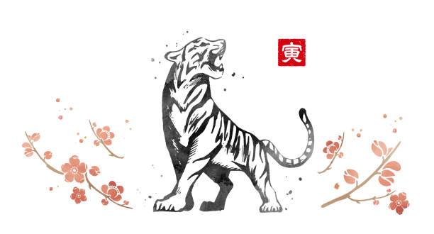 ilustrações, clipart, desenhos animados e ícones de material do cartão de ano novo do ano tigre de 2022 - tiger