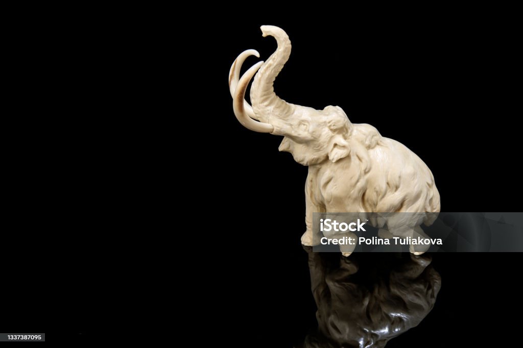 ivory statuette of elephant mammoth on black background ivory statuette of elephant mammoth on black background with reflection. carved with a gouge from old bone. authentic decorative figure for interior. Elephant Stock Photo