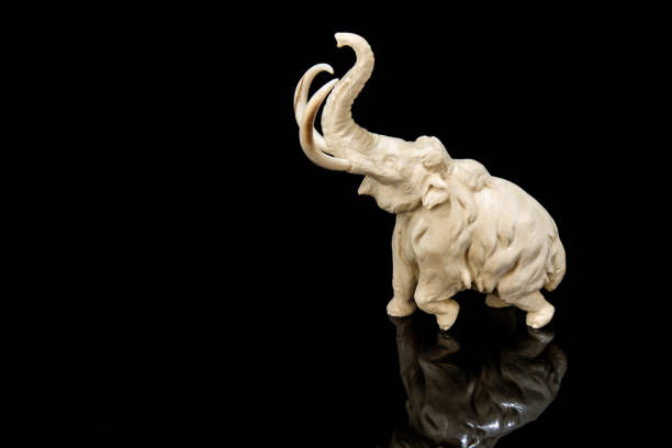 ivory statuette of elephant mammoth on black background ivory statuette of elephant mammoth on black background with reflection. carved with a gouge from old bone. authentic decorative figure for interior. elephant figurine stock pictures, royalty-free photos & images