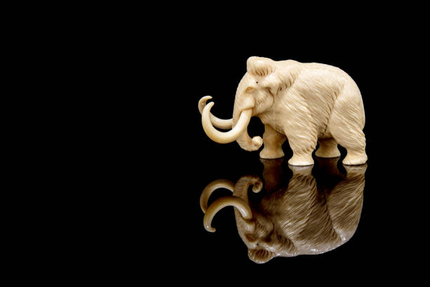 istock ivory statuette of elephant mammoth on black background 1337387097