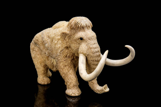 istock ivory statuette of elephant mammoth on black background 1337387103
