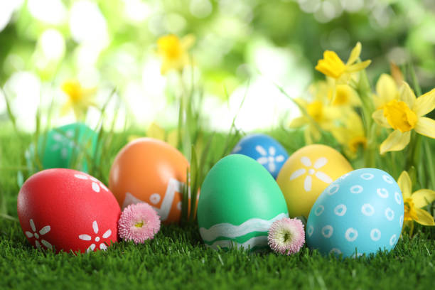 istock Colorful Easter eggs and flowers in green grass. Space for text 1337387220
