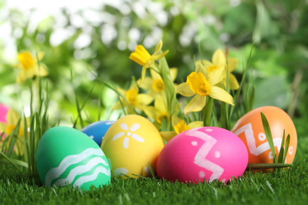 istock Colorful Easter eggs and daffodil flowers in green grass 1337387252