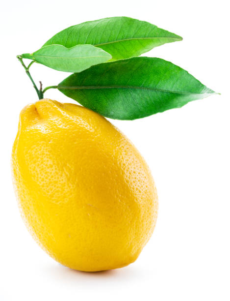 istock Ripe lemon fruit with leaves on the white background. 1337387298