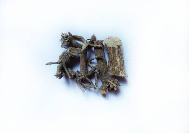 istock Rauvolfia serpentina roots, the Indian snakeroot, devil's pepper or serpentine wood (Sarpagandha). 1337387326